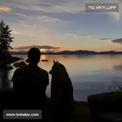 翁赢宝